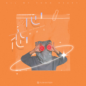 美女无遮掩日本网站
