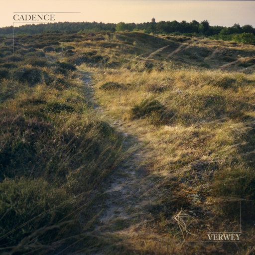 美女无遮掩日本网站
